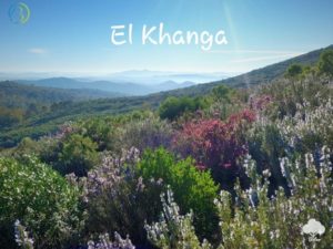 Lire la suite à propos de l’article El Khanga – Nouveau Parcours Exclusif