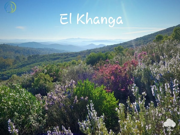 You are currently viewing El Khanga – Nouveau Parcours Exclusif